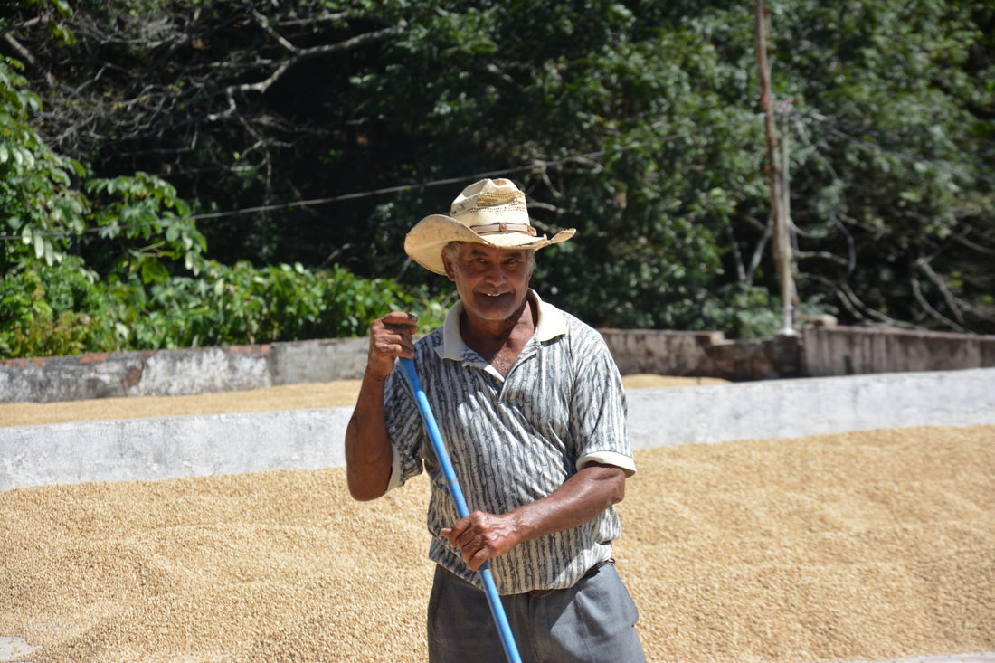 From Jakarta to Guatemala: Sourcing Coffee Through Relationships