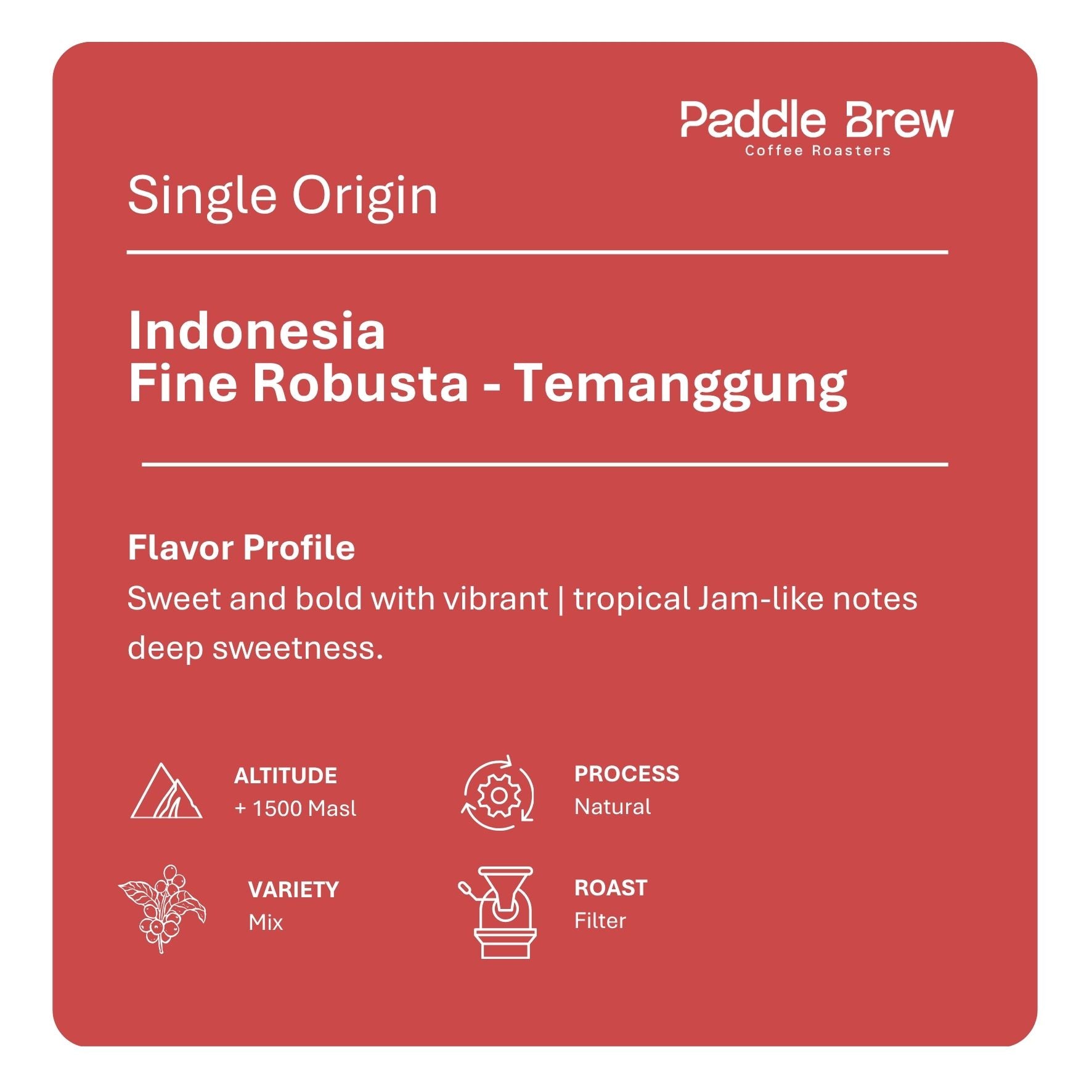Fine Robusta Temanggung