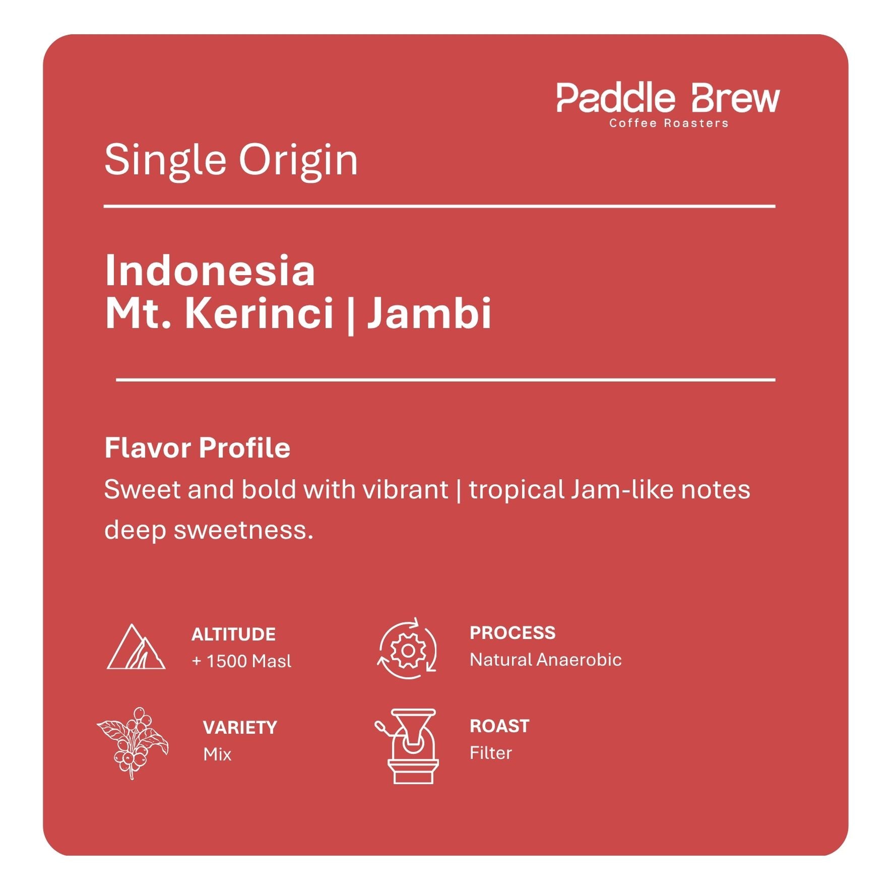 Mt Kerinci Jambi